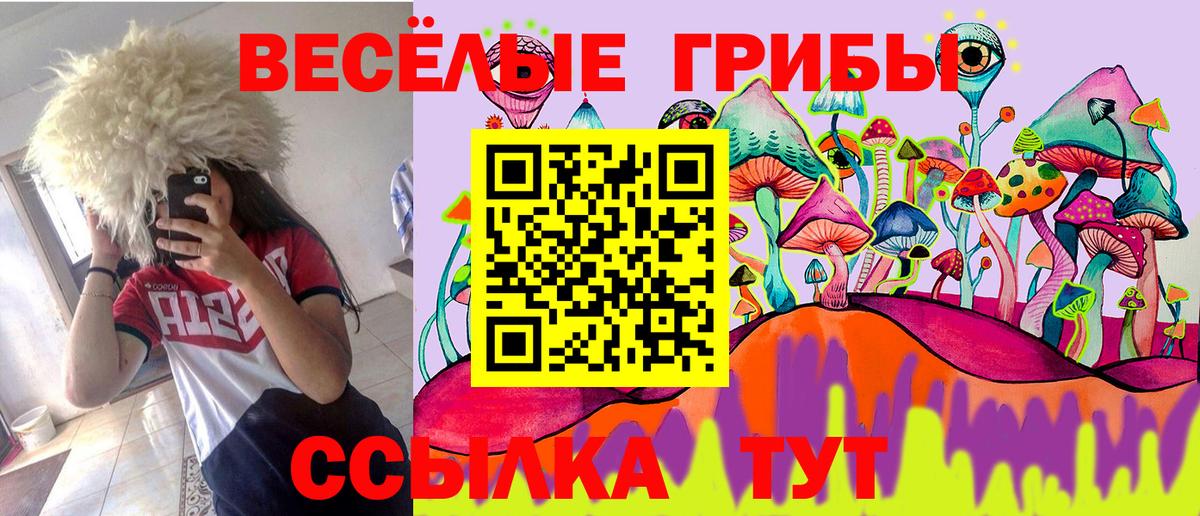 Псилоцибиновые грибы GOLDEN TEACHER  Галлюциногенные грибы Cubensis  Вход с VPN  Глазов 