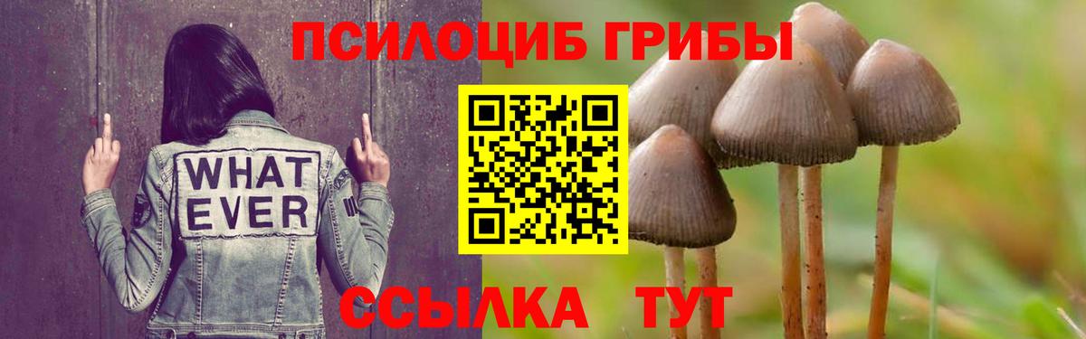 Псилоцибиновые грибы мухоморы Глазов